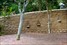 Adobe, mud-brick, mosaic, courtyard, art, creative